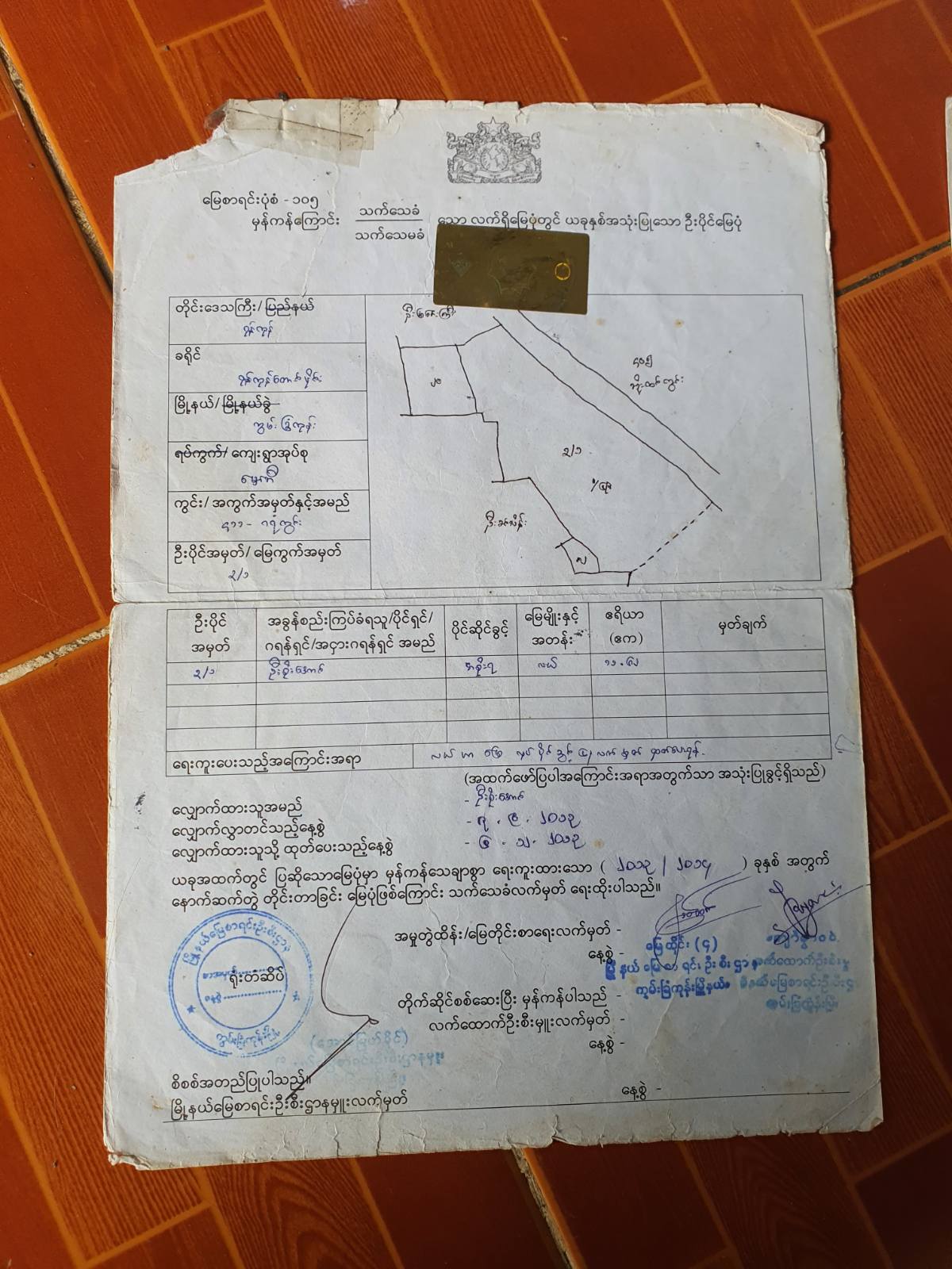 viber_image_2025-12-06_09-28-11-556