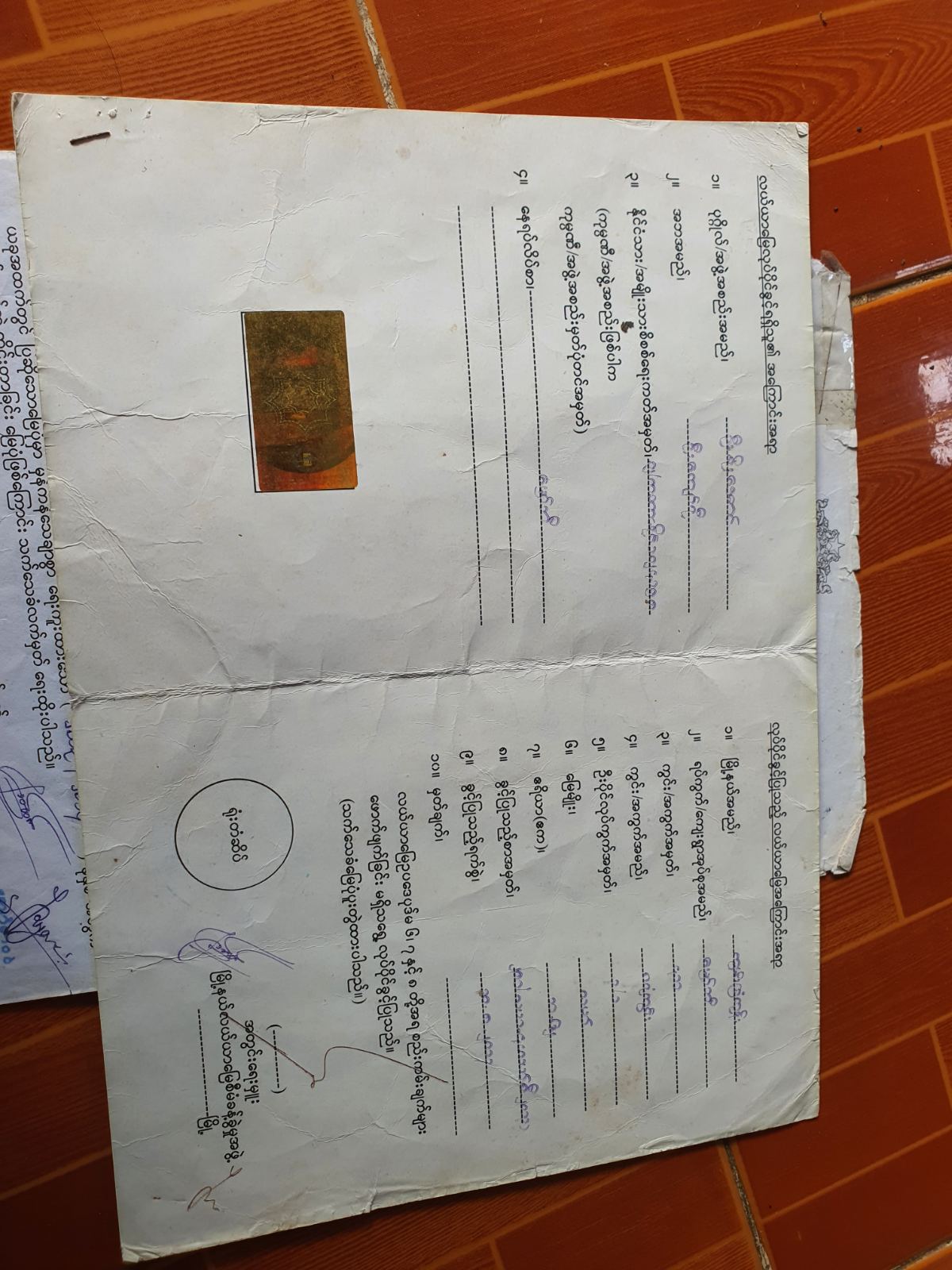 viber_image_2025-12-06_09-28-12-277