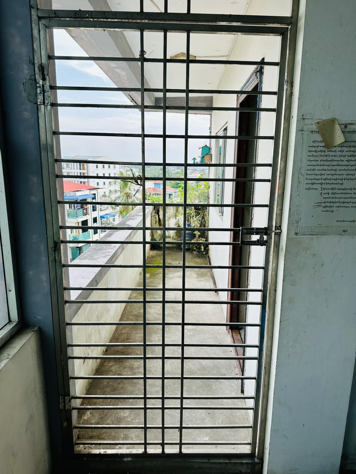 viber_image_2026-01-12_15-30-04-318