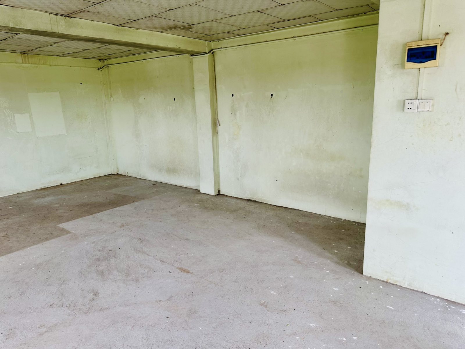 viber_image_2026-01-12_15-30-07-048