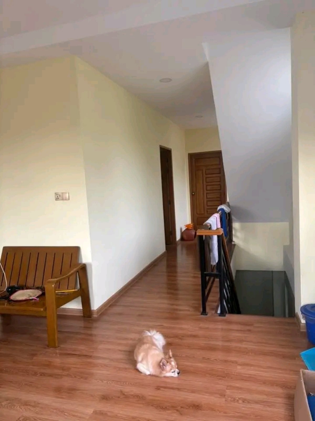 viber_image_2026-03-30_10-56-30-014