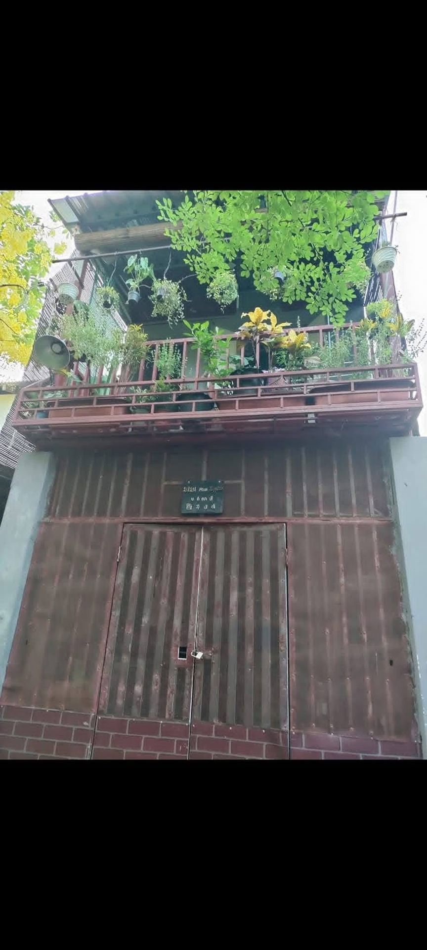 1780554997842885 (1)