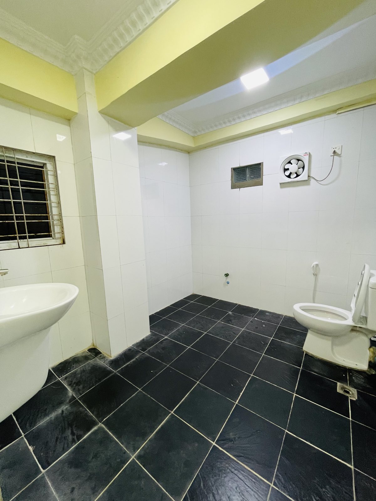 viber_image_2026-08-25_10-53-05-737